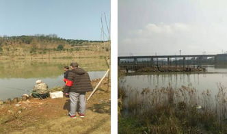 區(qū)畜牧局開(kāi)展春季漁政巡查，保障畜牧漁業(yè)飼料銷(xiāo)售安全