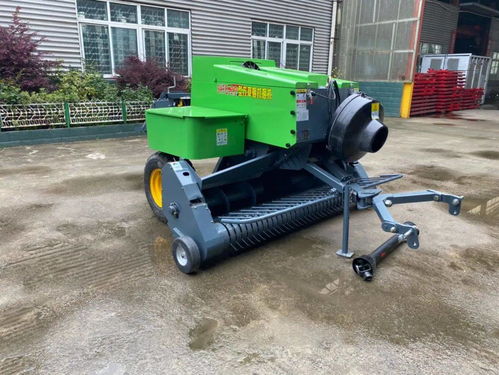 飼料成本占養(yǎng)殖70%？節(jié)本增效的實(shí)用策略